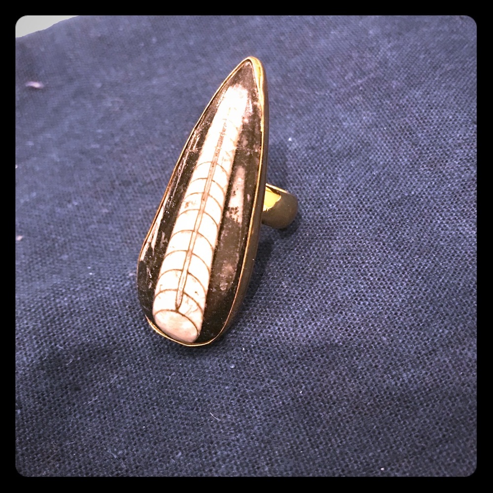 Charles Albert Fossil Alchemia Orthoceras Ring